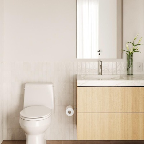 a bathroom with a toilet and sink