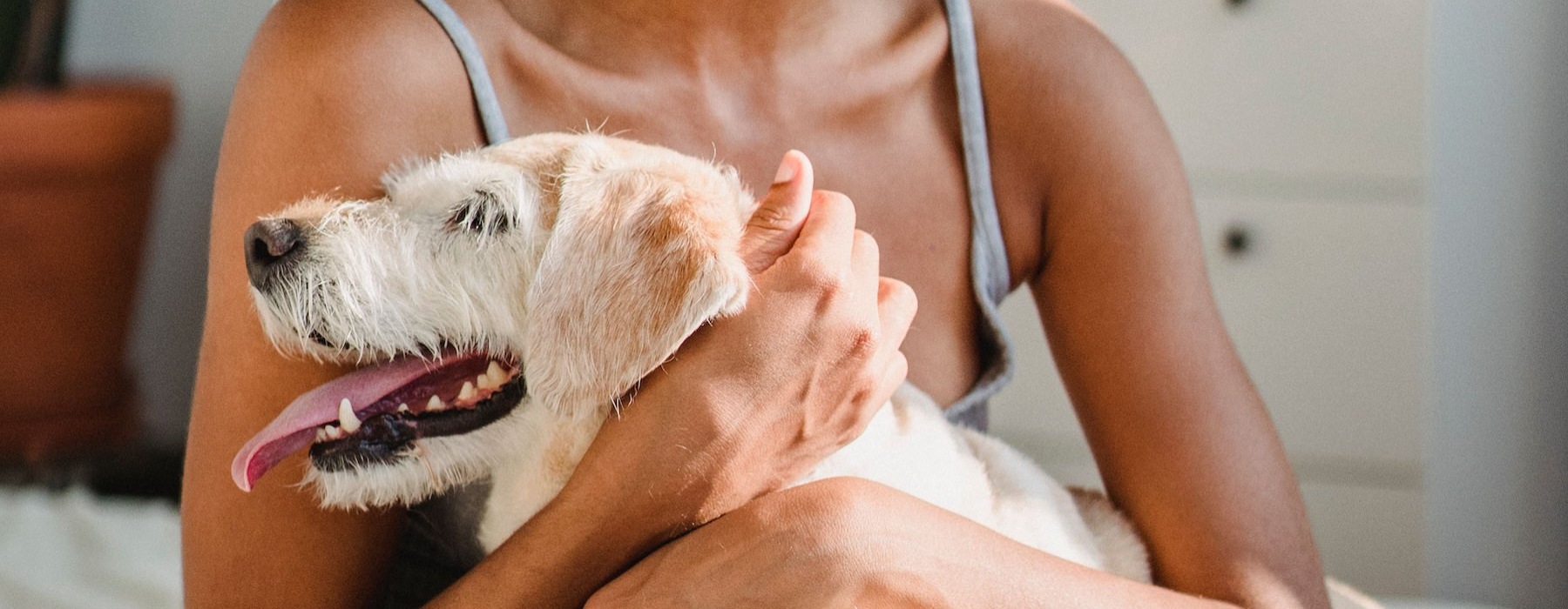 a person holding a dog